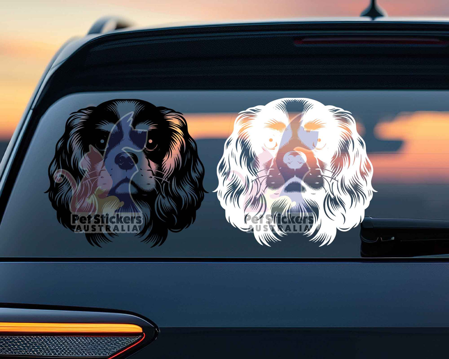 Cavalier King Charles Spaniel Sticker