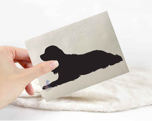 Cavalier Spaniel Silhouette Stickers