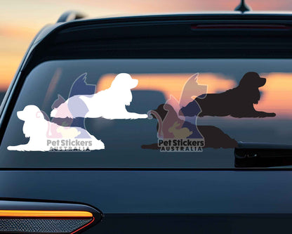 Cavalier Spaniel Silhouette Stickers