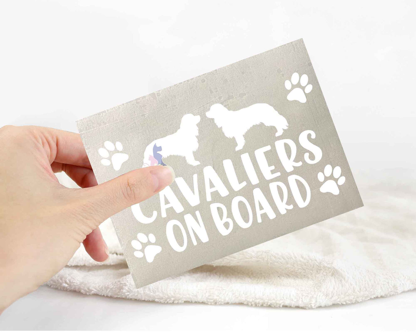 Cavaliers On Board Sticker