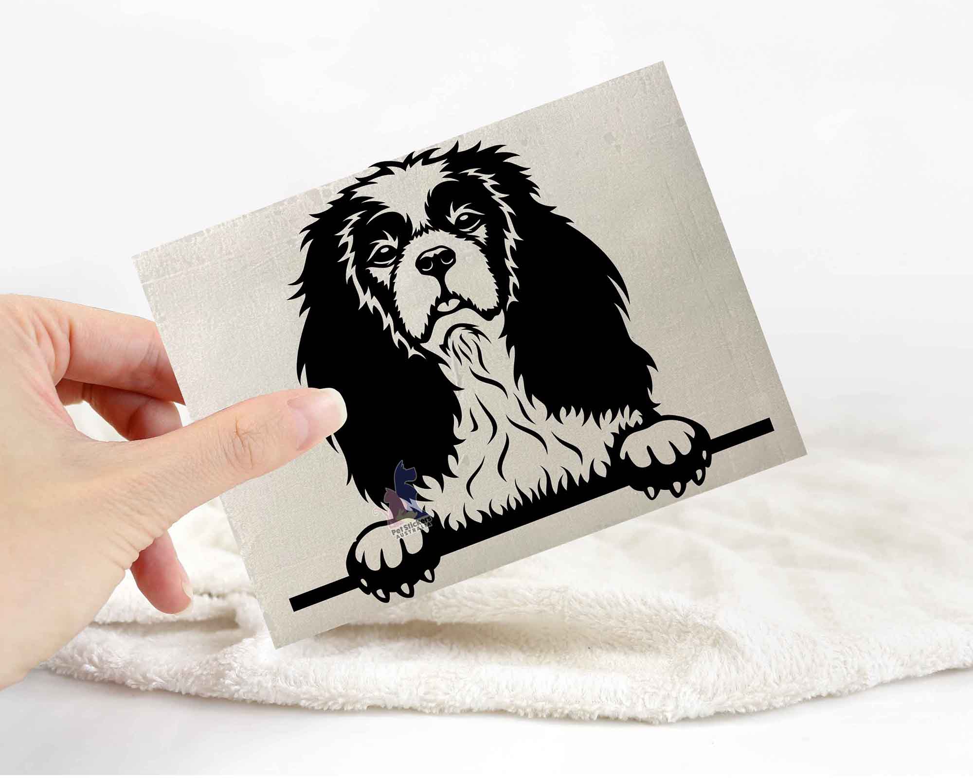 Cavalier King Charles Spaniel Sticker | Decals Australia – Pet Stickers ...
