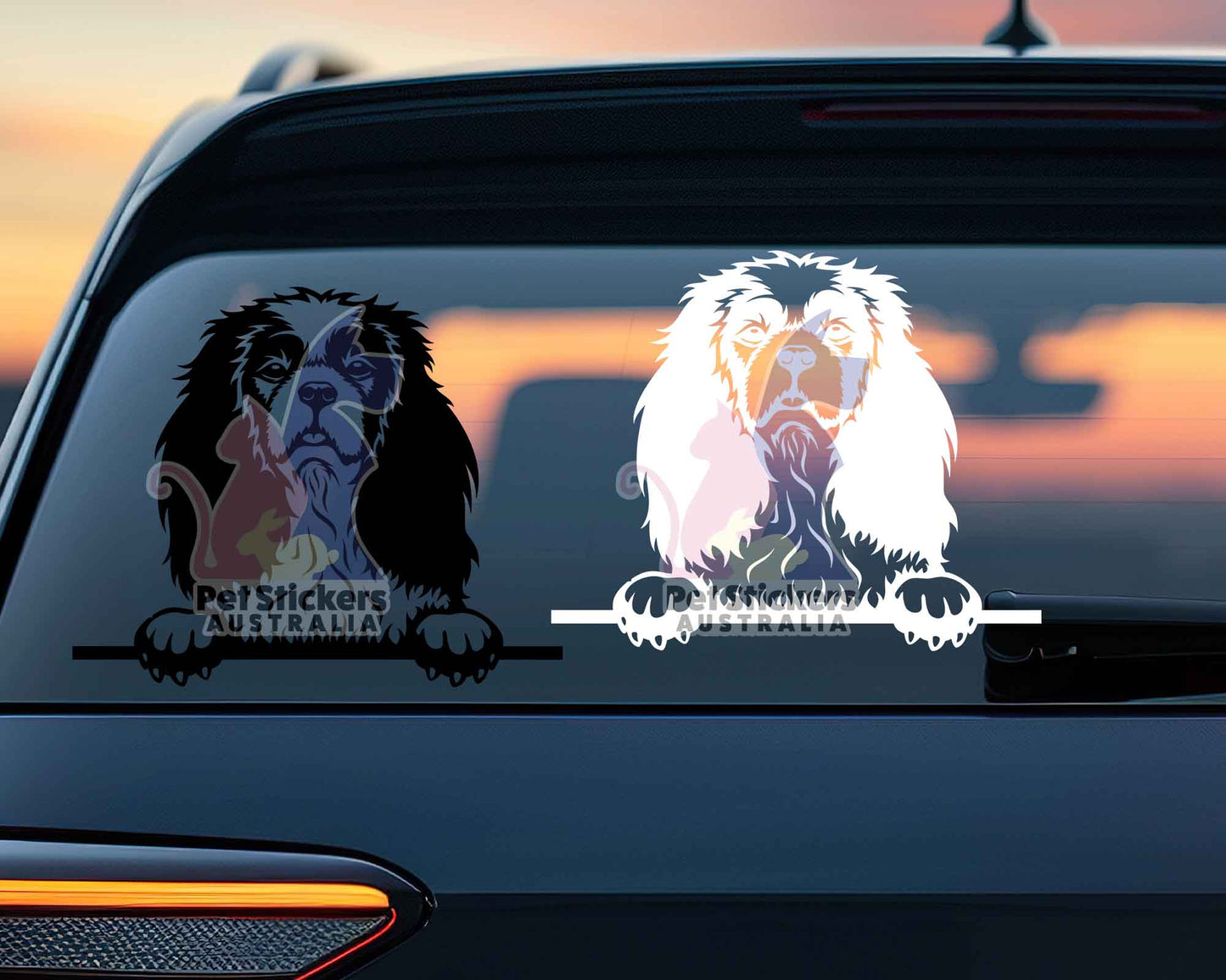 Cavalier King Charles Spaniel Sticker