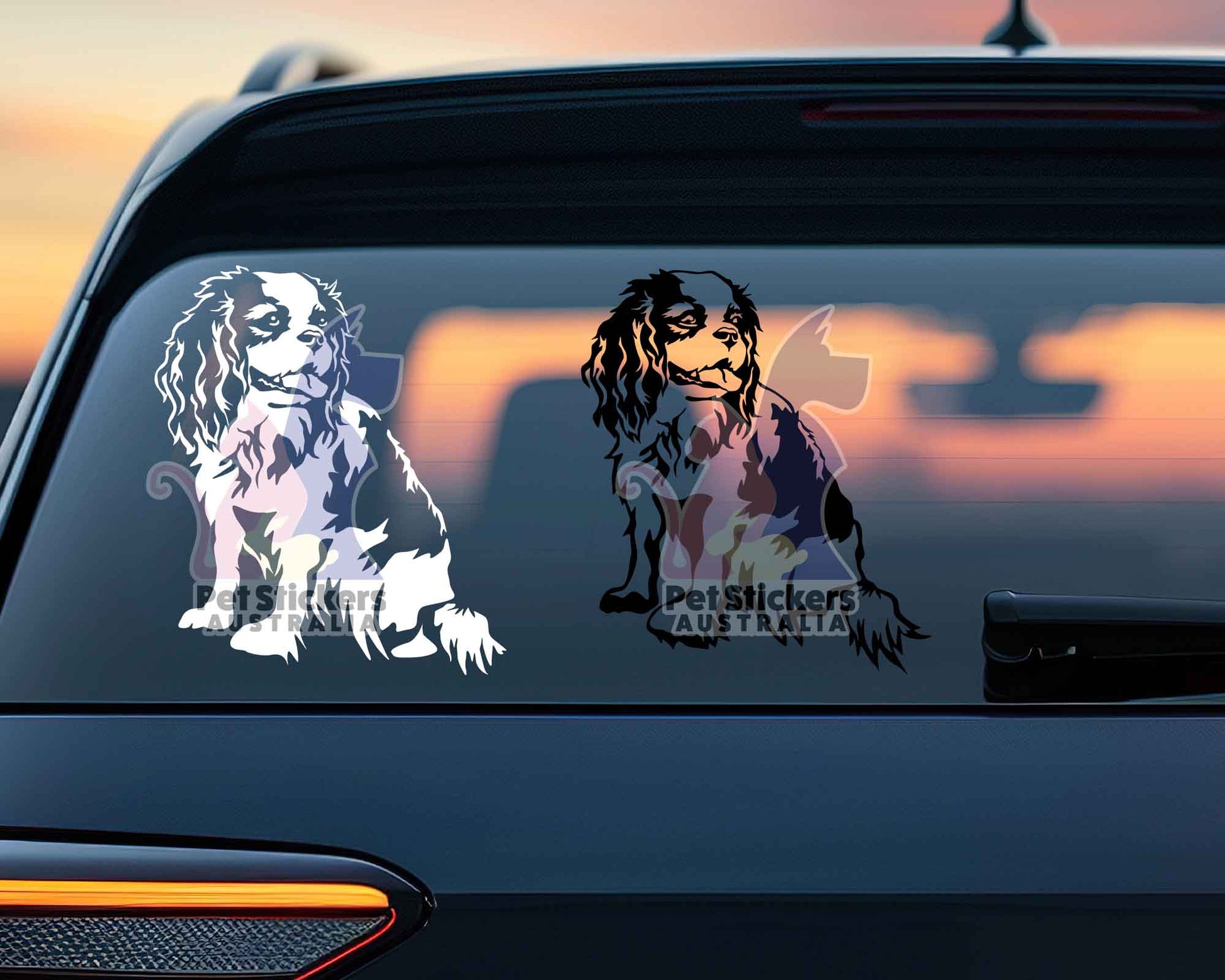 Cavalier King Charles Spaniel Sticker