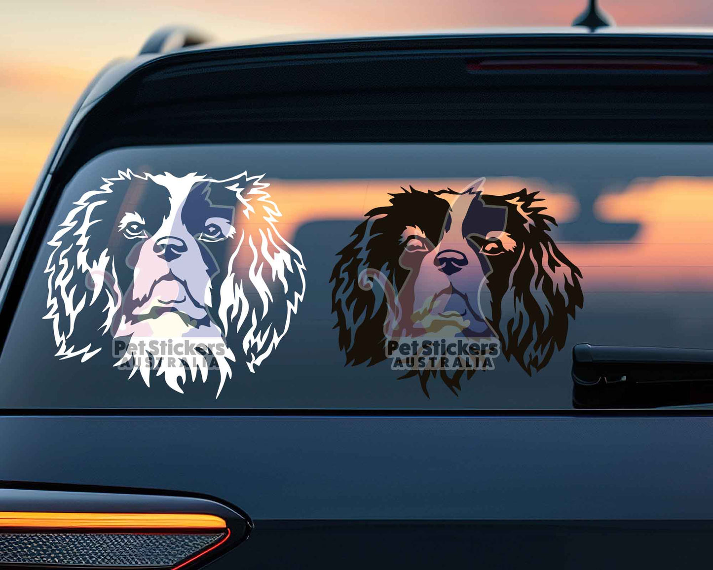 Cavalier King Charles Spaniel Sticker