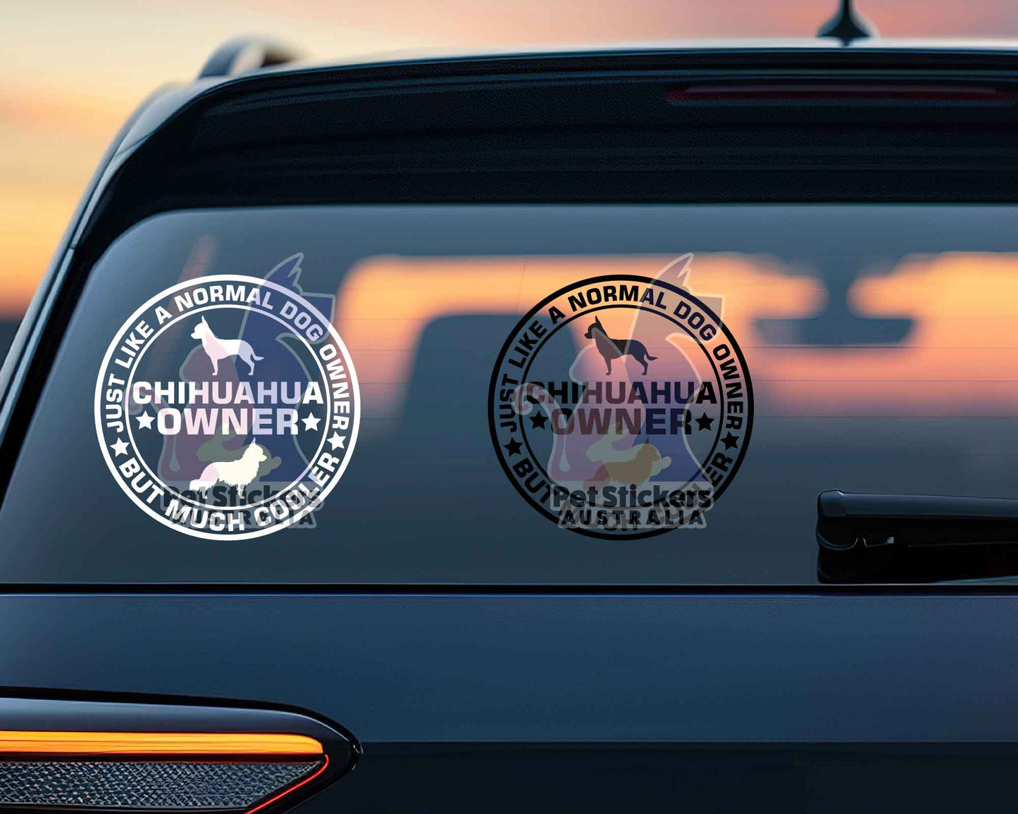 Chihuahua Dog Owner But Cooler Sticker