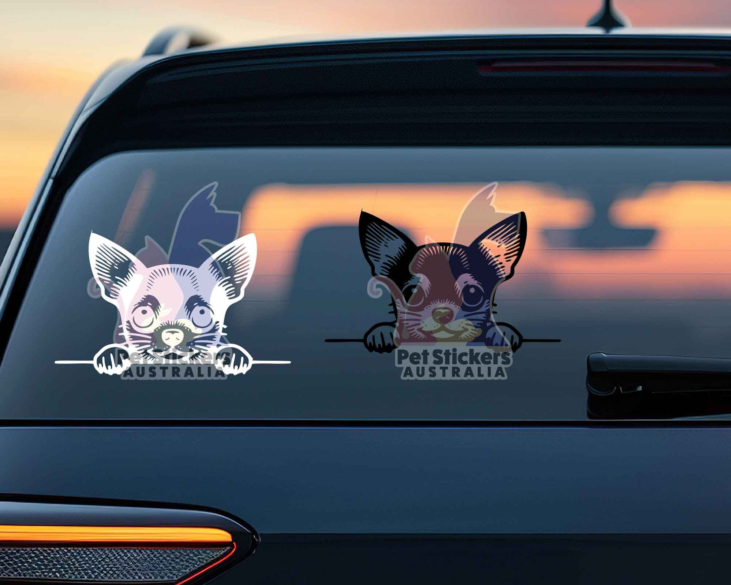 Chihuahua Peeping Sticker