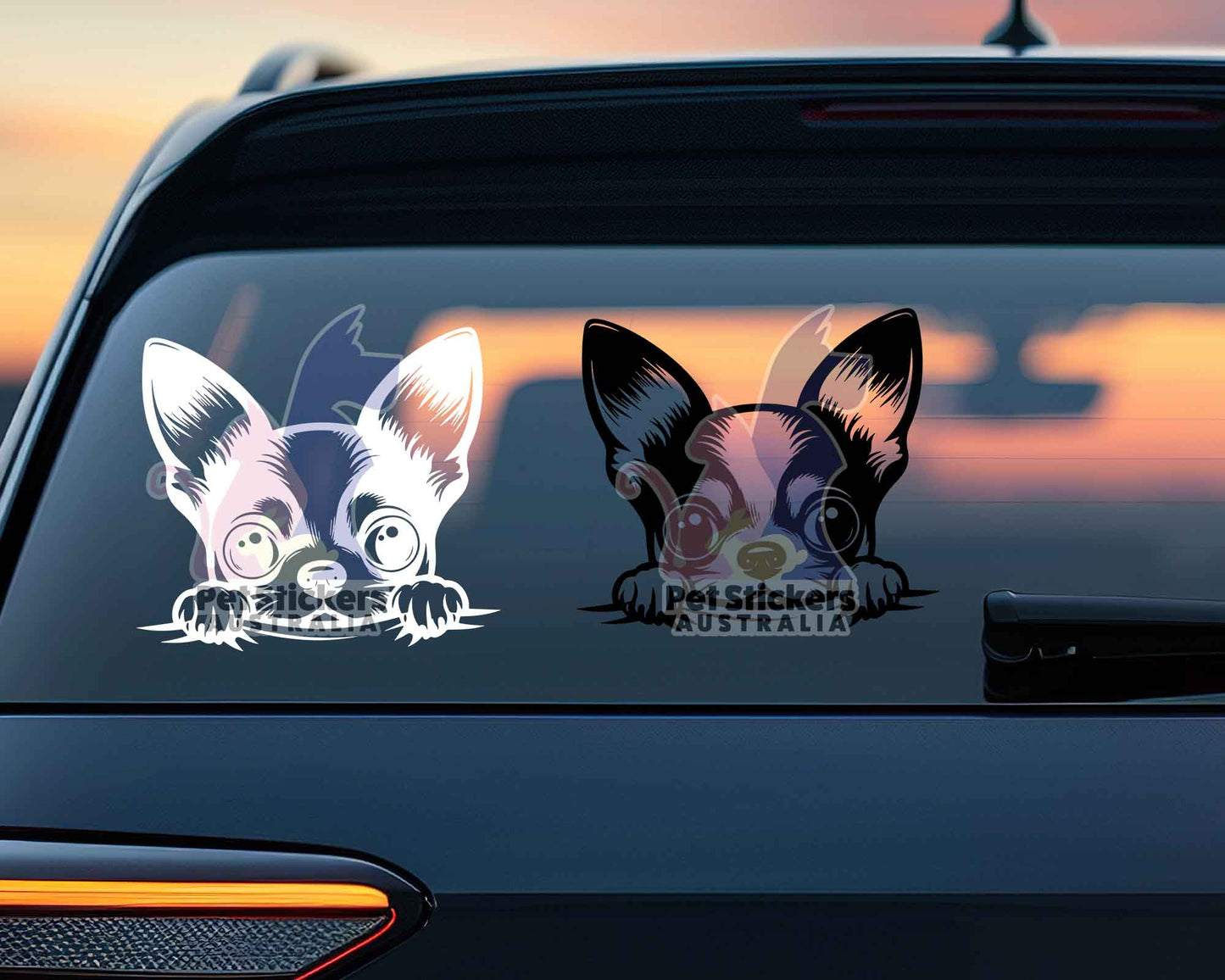 Chihuahua Peeping Sticker