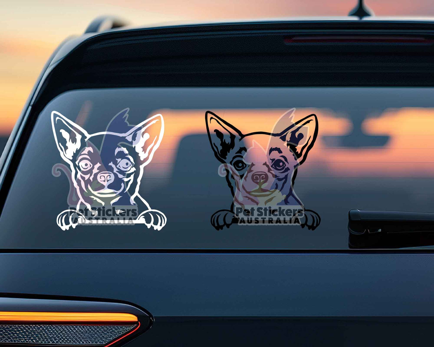 Chihuahua Sticker