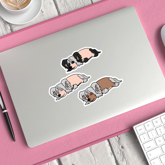 Chinese Crested Stickers