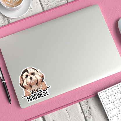 Love Is A Havanese Sticker