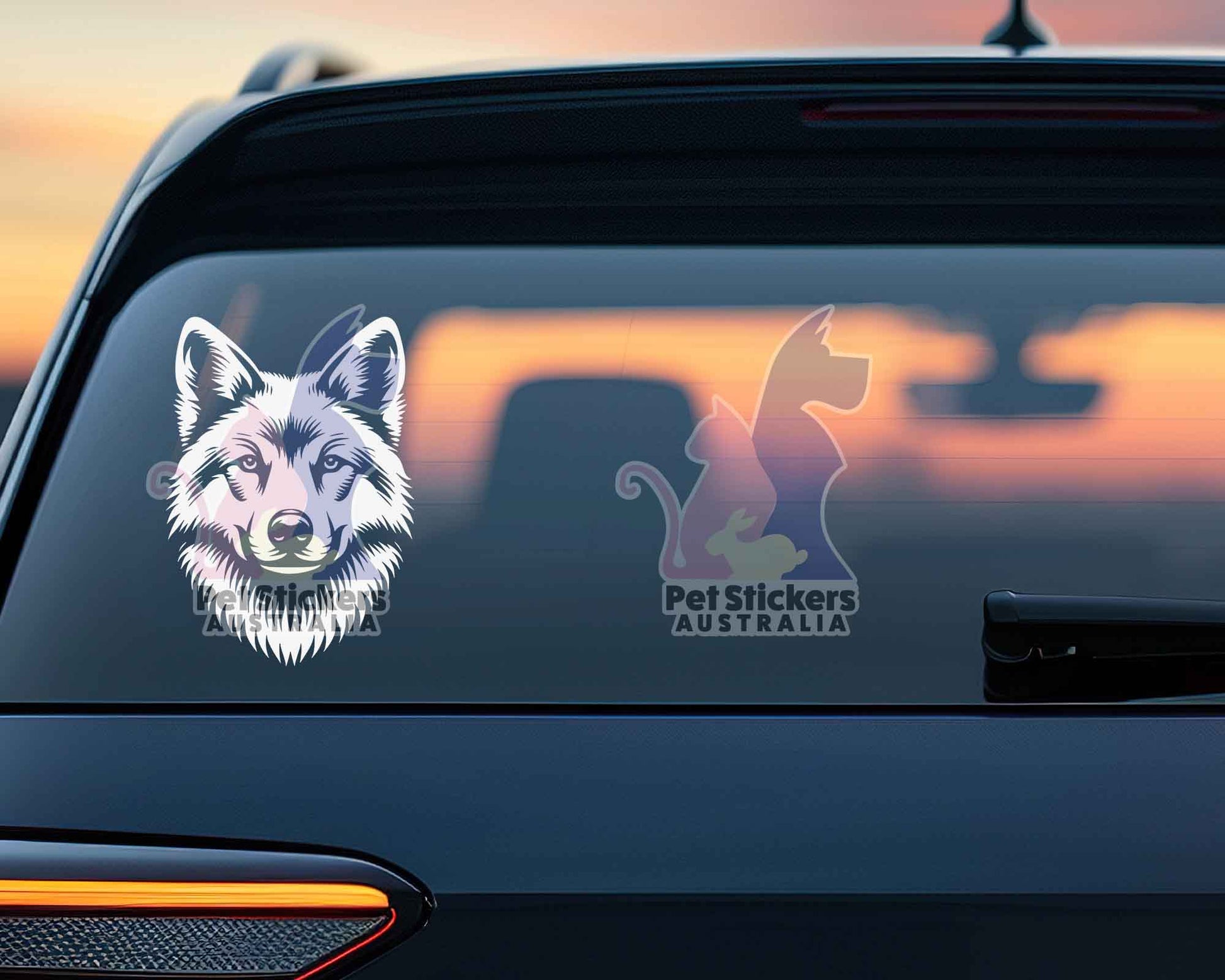 Dingo Sticker