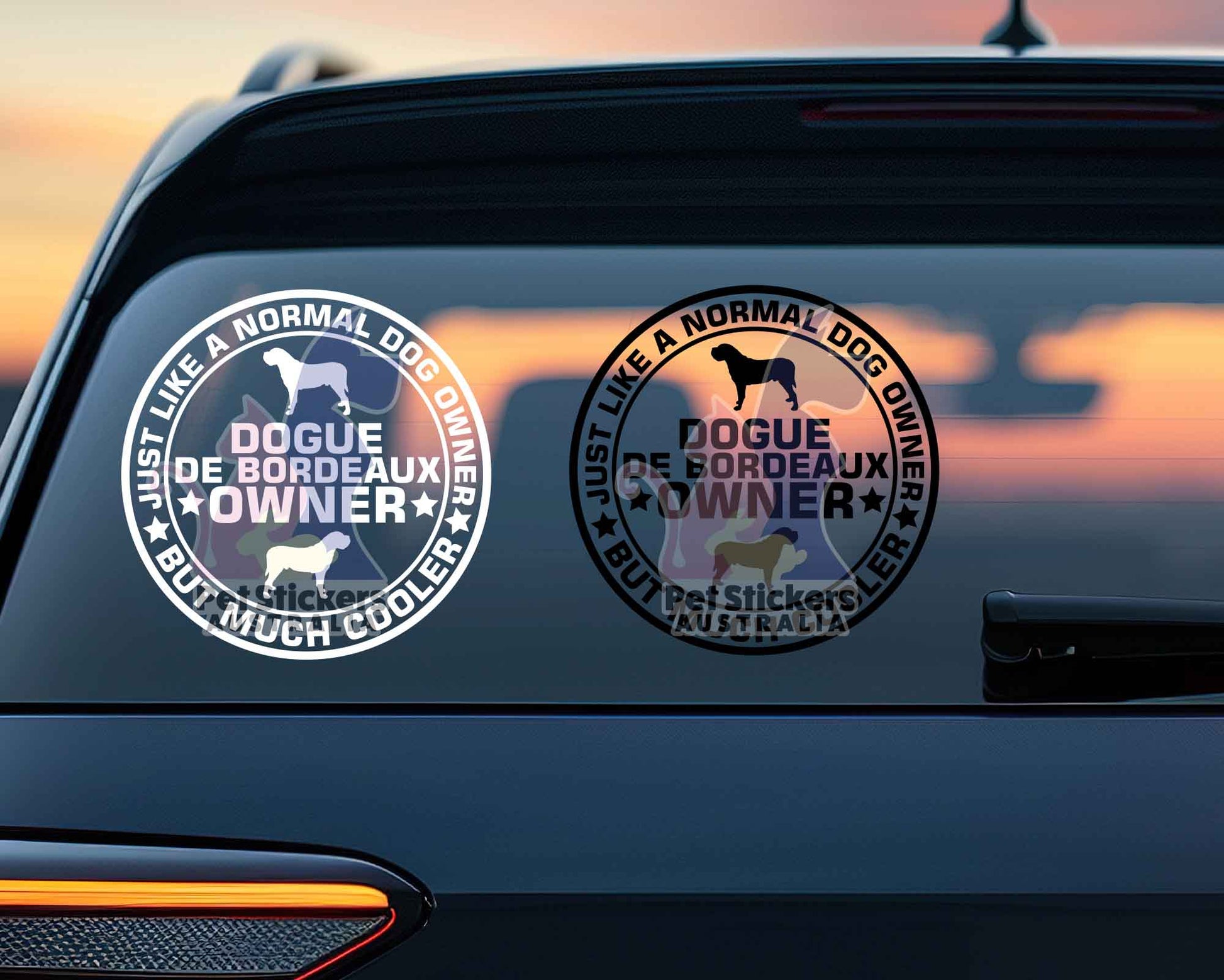 Dogue de Bordeaux Dog Owner But Cooler Sticker