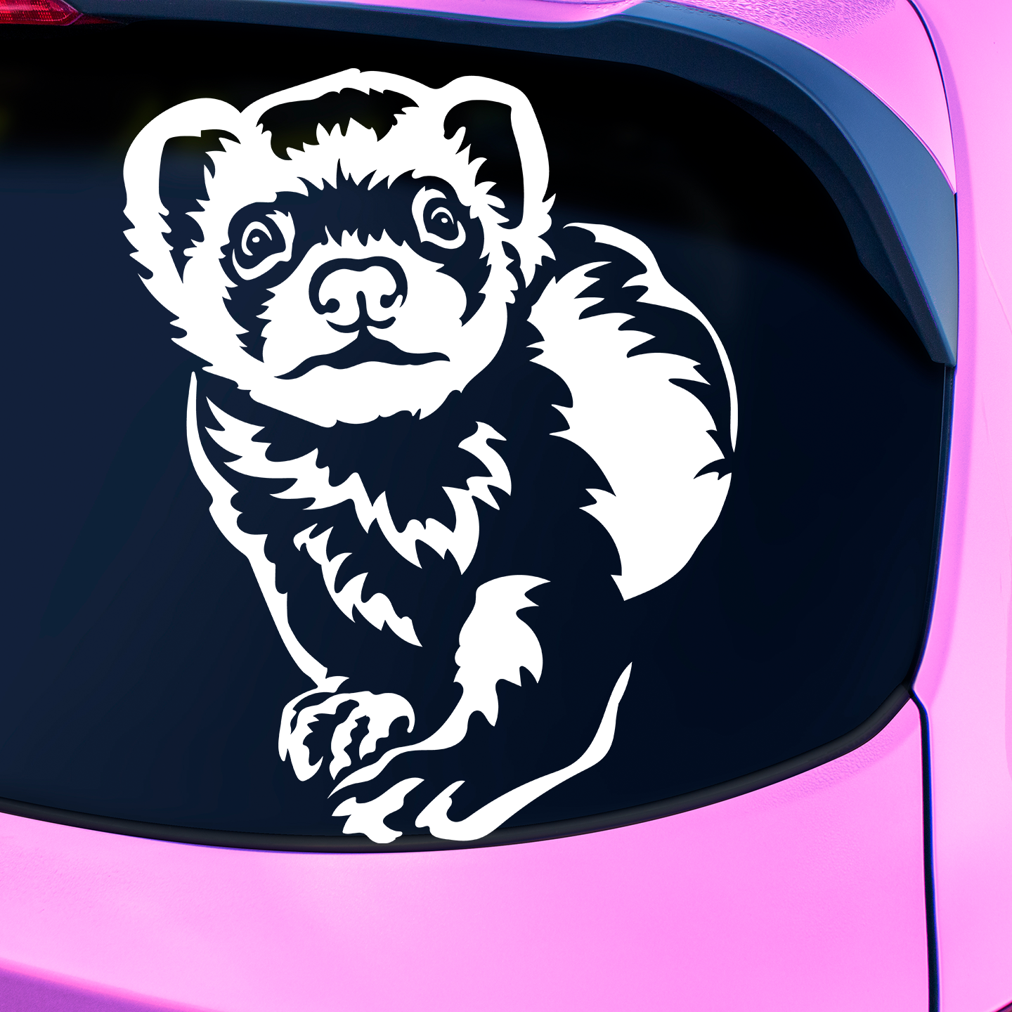 Ferret Sticker