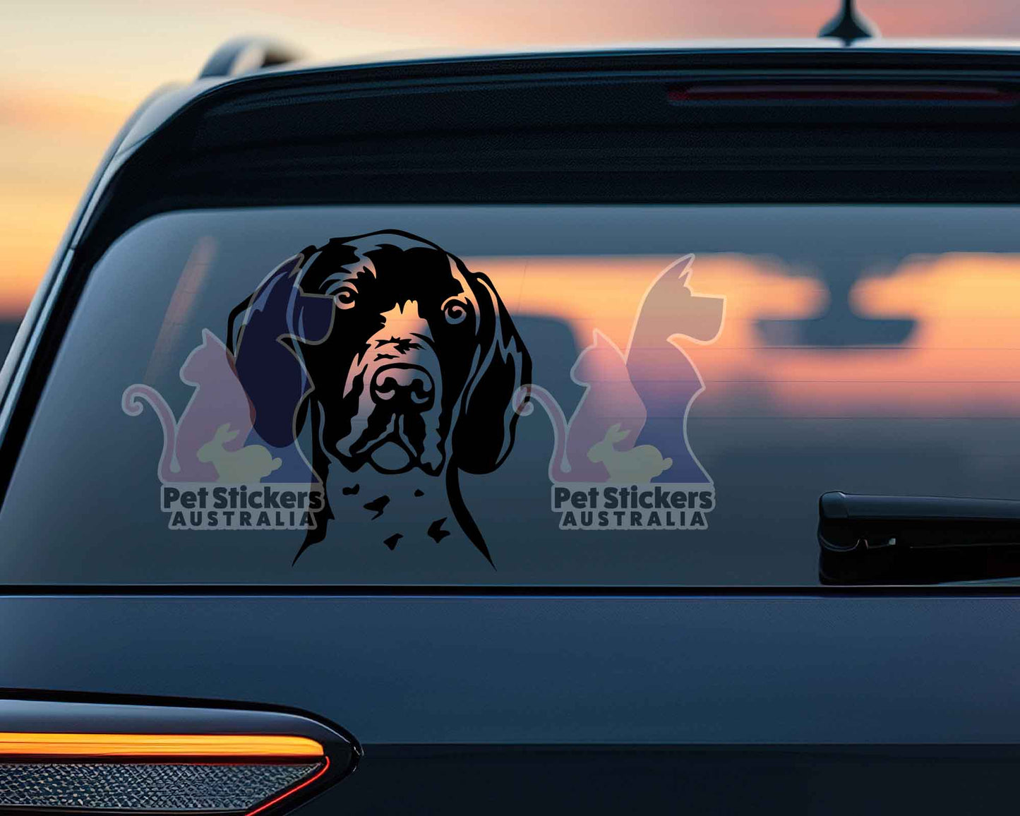 German Shorthaired Pointer Sticker