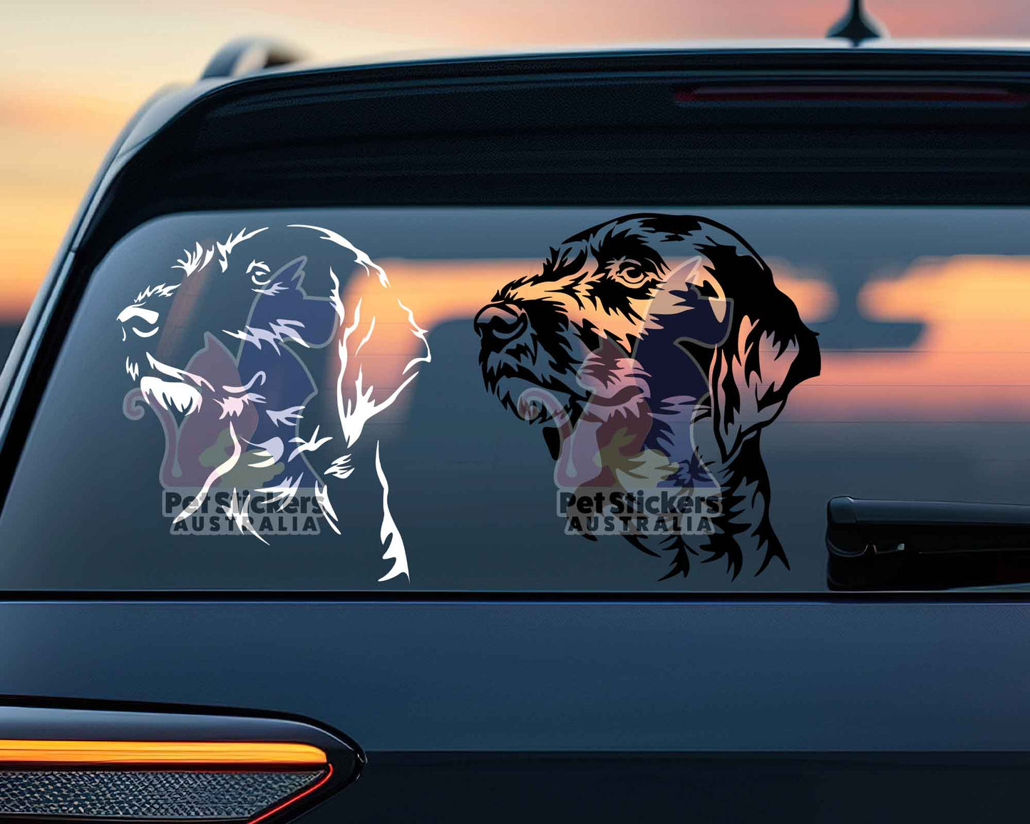 German Wirehaired Pointer Sticker