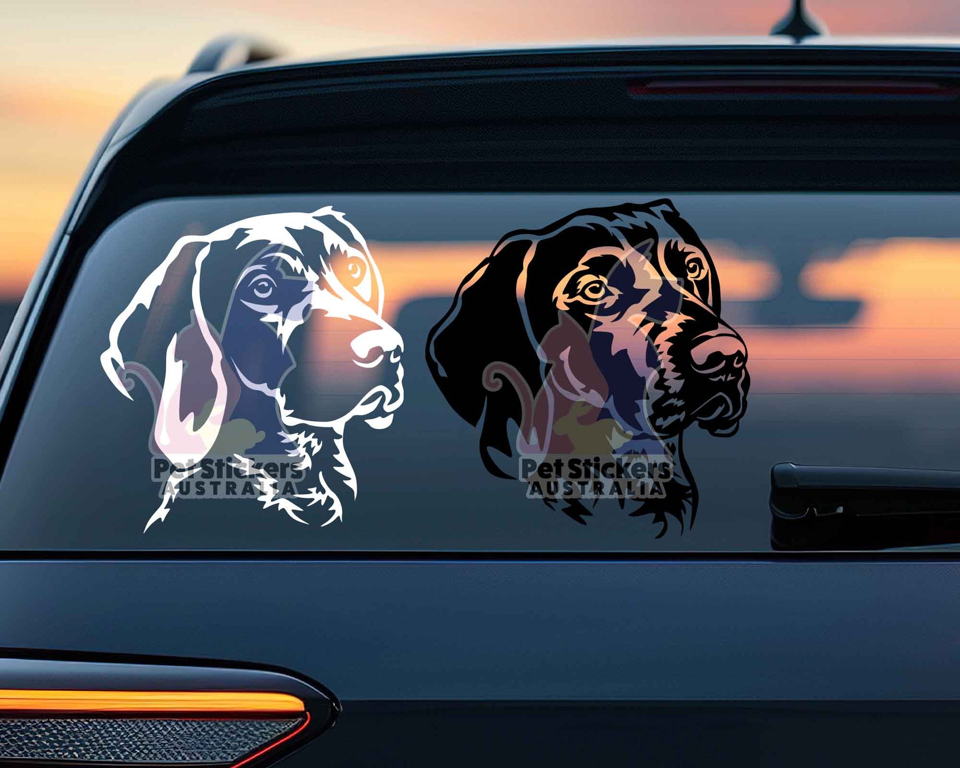 German Shorthaired Pointer Sticker