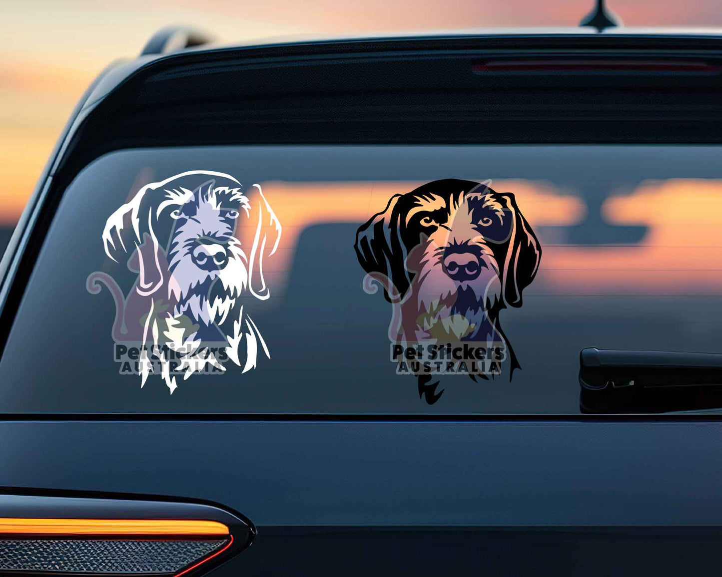 German Wirehaired Pointer Sticker