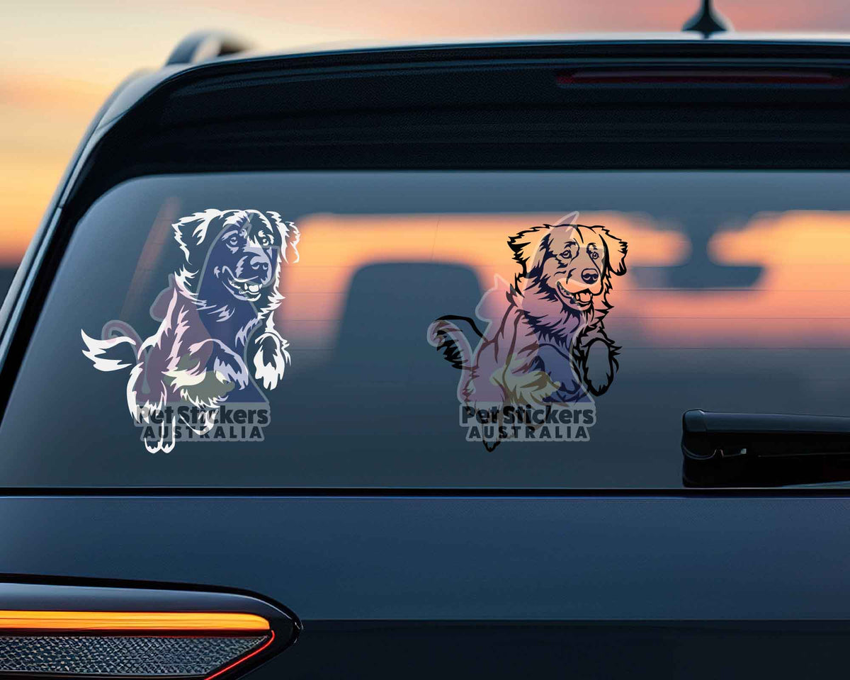 Golden Bc Sticker Golden Retriever Sticker | Dog Stickers For Cars Australia β Pet ...
