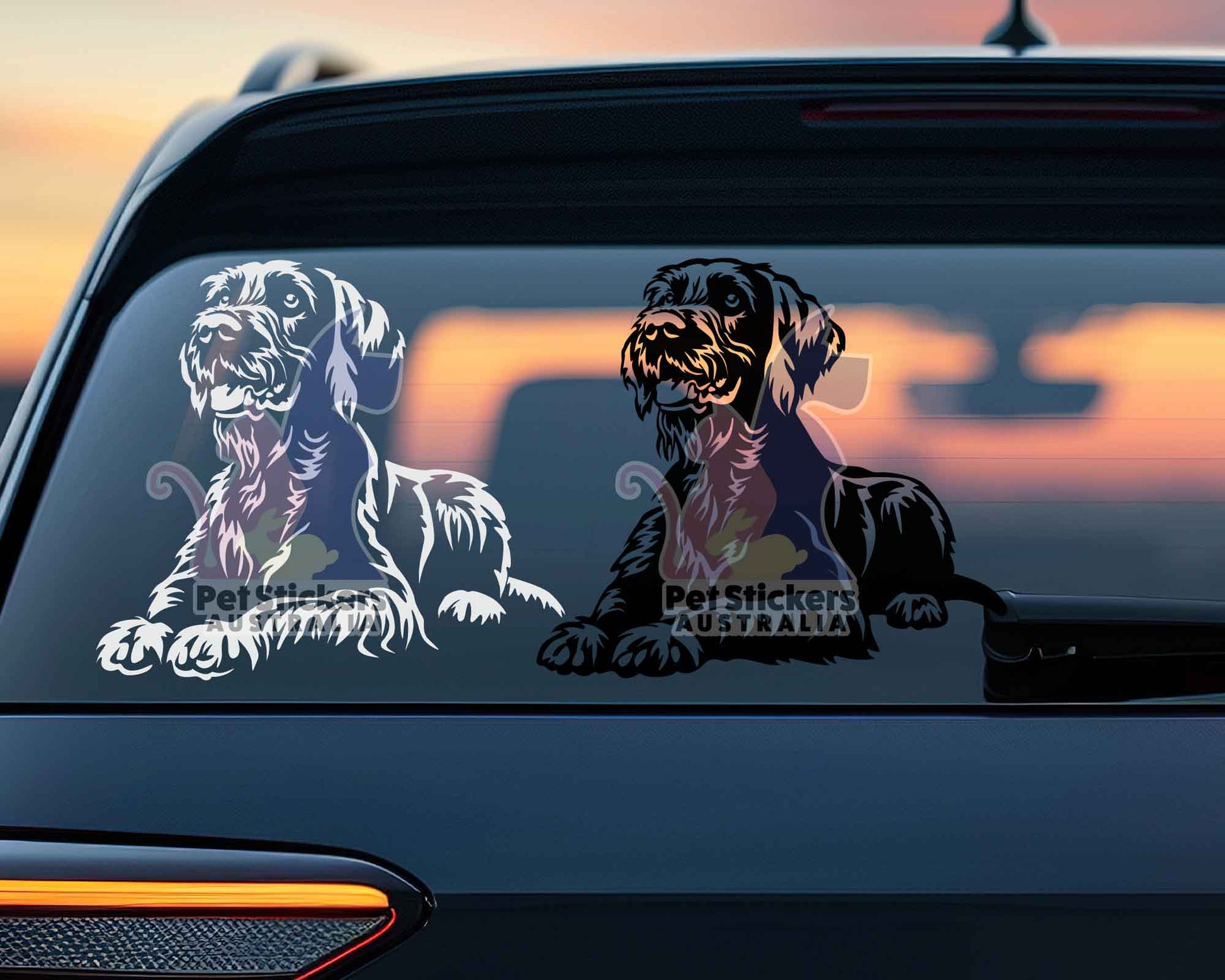 German Wirehaired Pointer Sticker