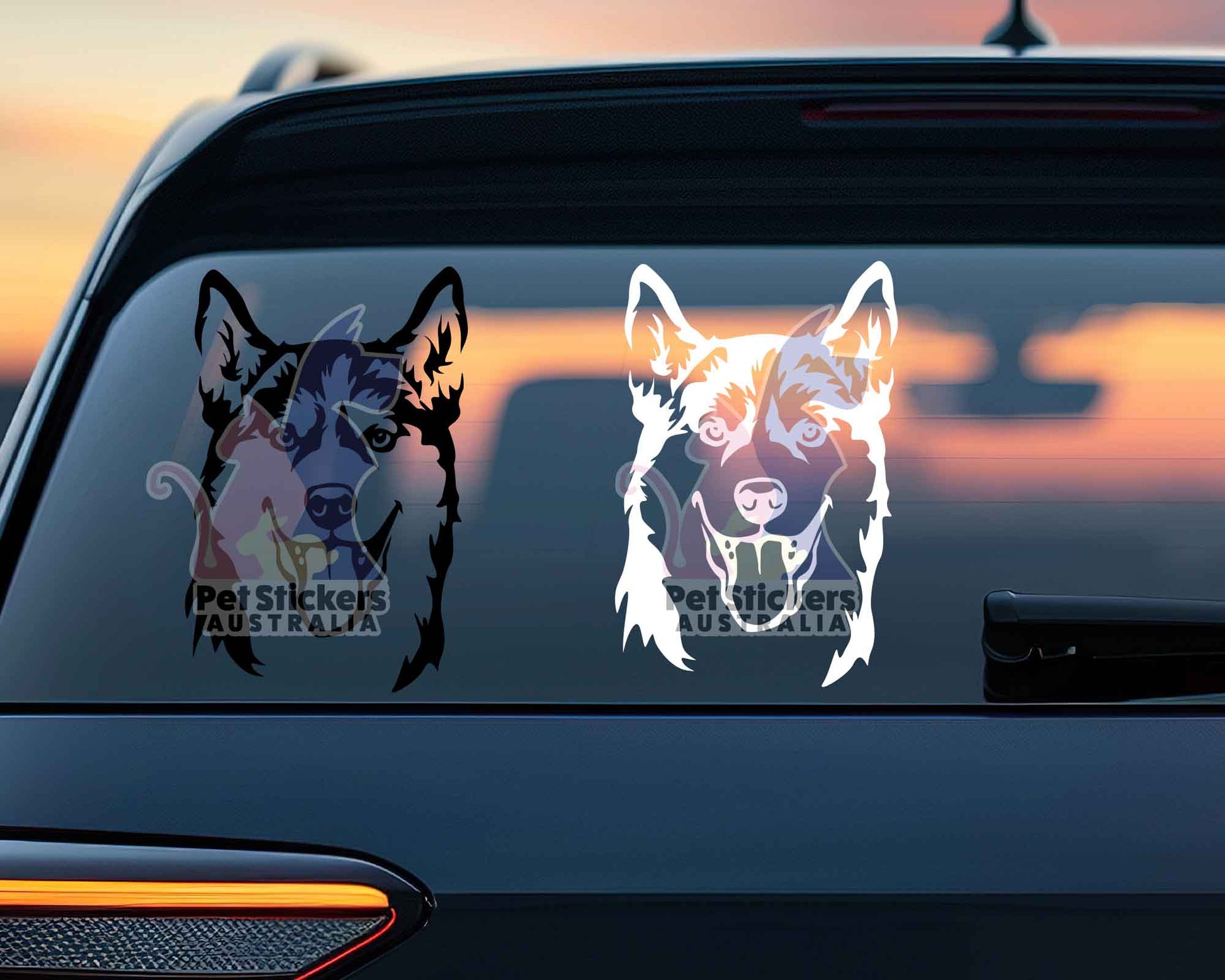 Siberian Husky Sticker