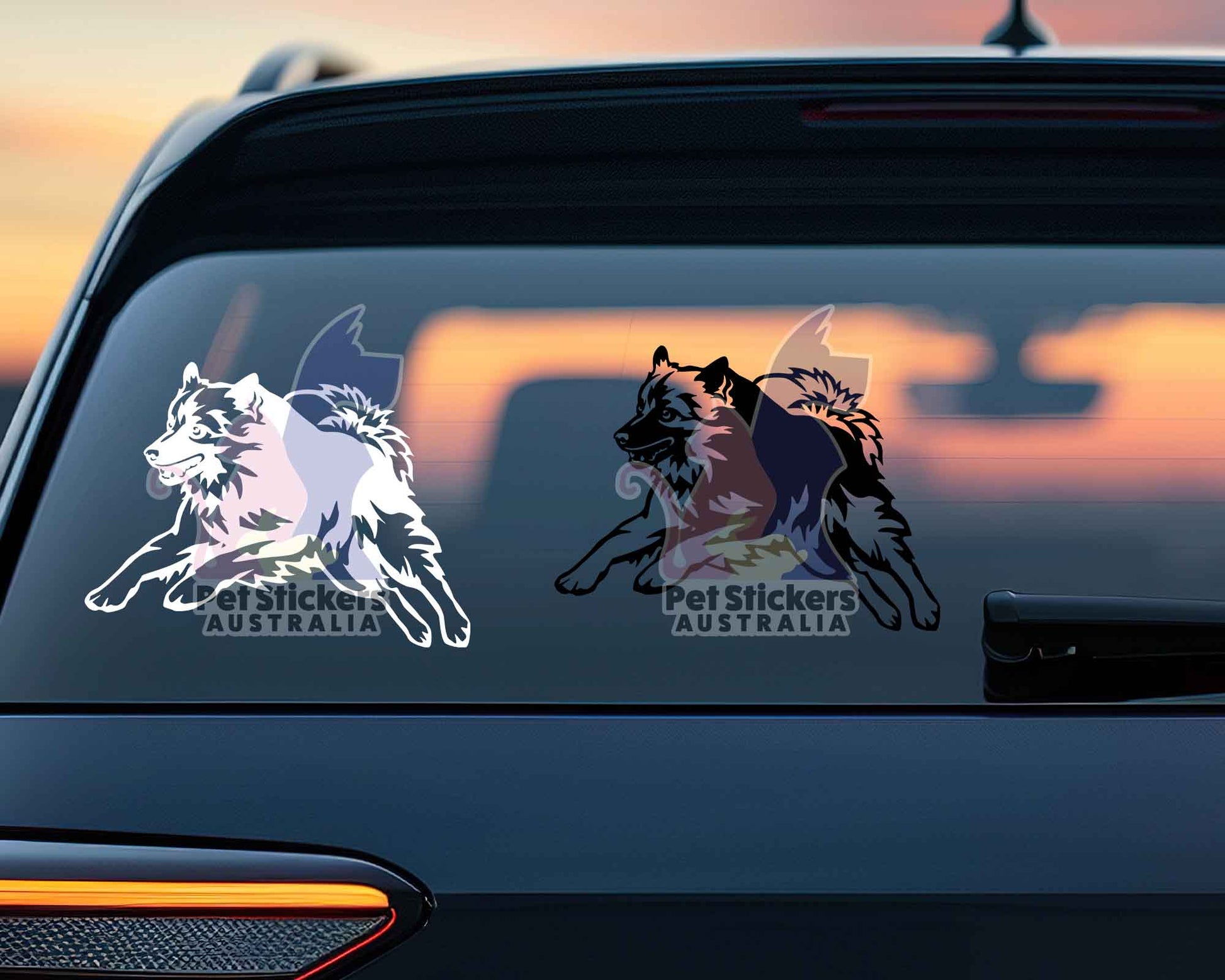 Keeshond Sticker