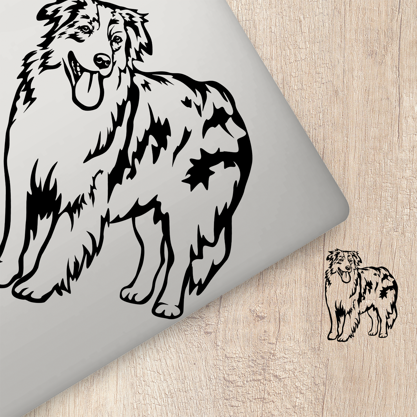 Australian Shepherd Sticker, merle Aussie Shepherd