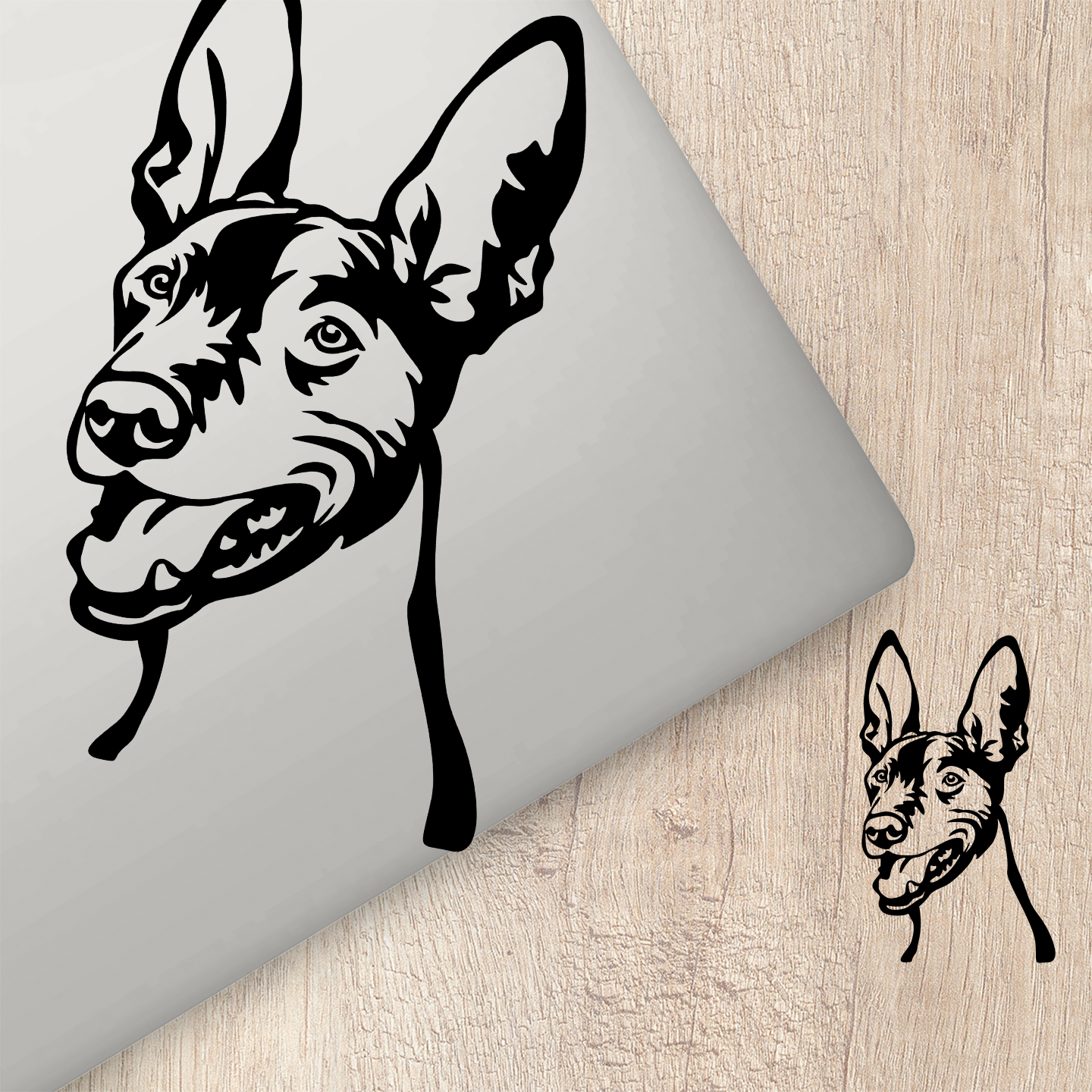 Pharaoh Hound Sticker