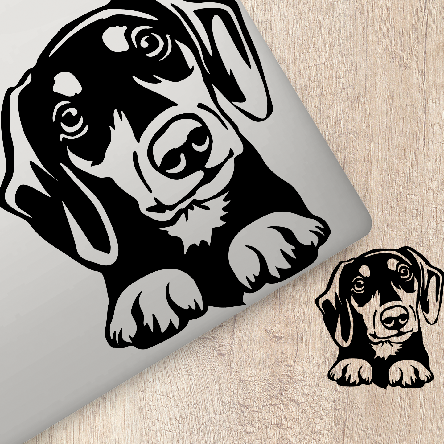 Dachshund Peeping Sticker