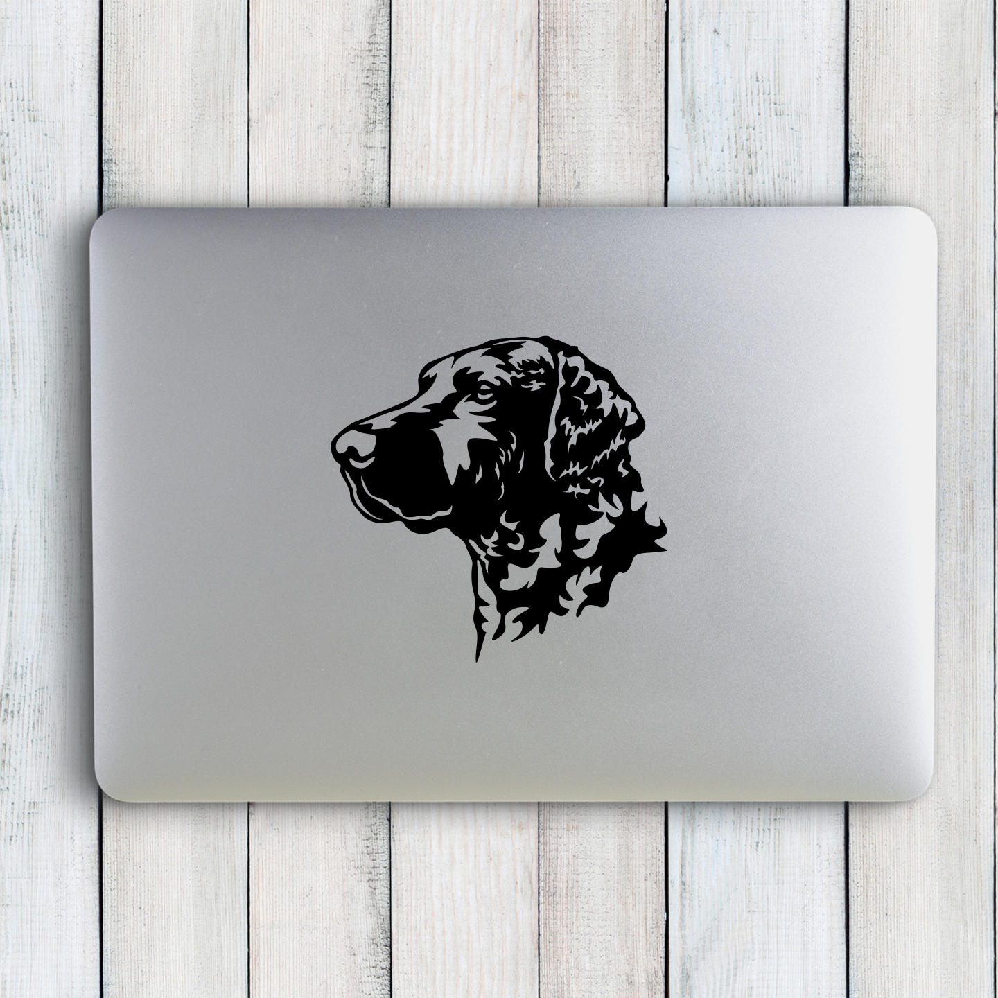 Curly Coated Retriever Sticker