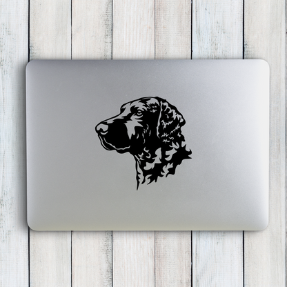 Curly Coated Retriever Sticker