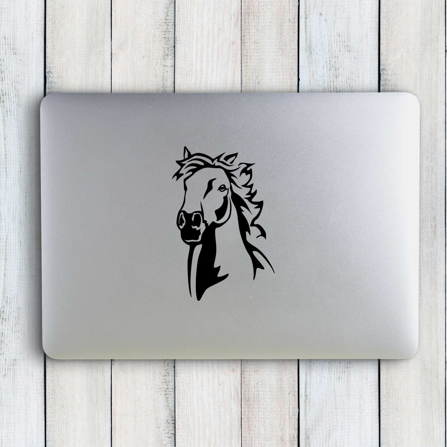 Appaloosa Horse Sticker