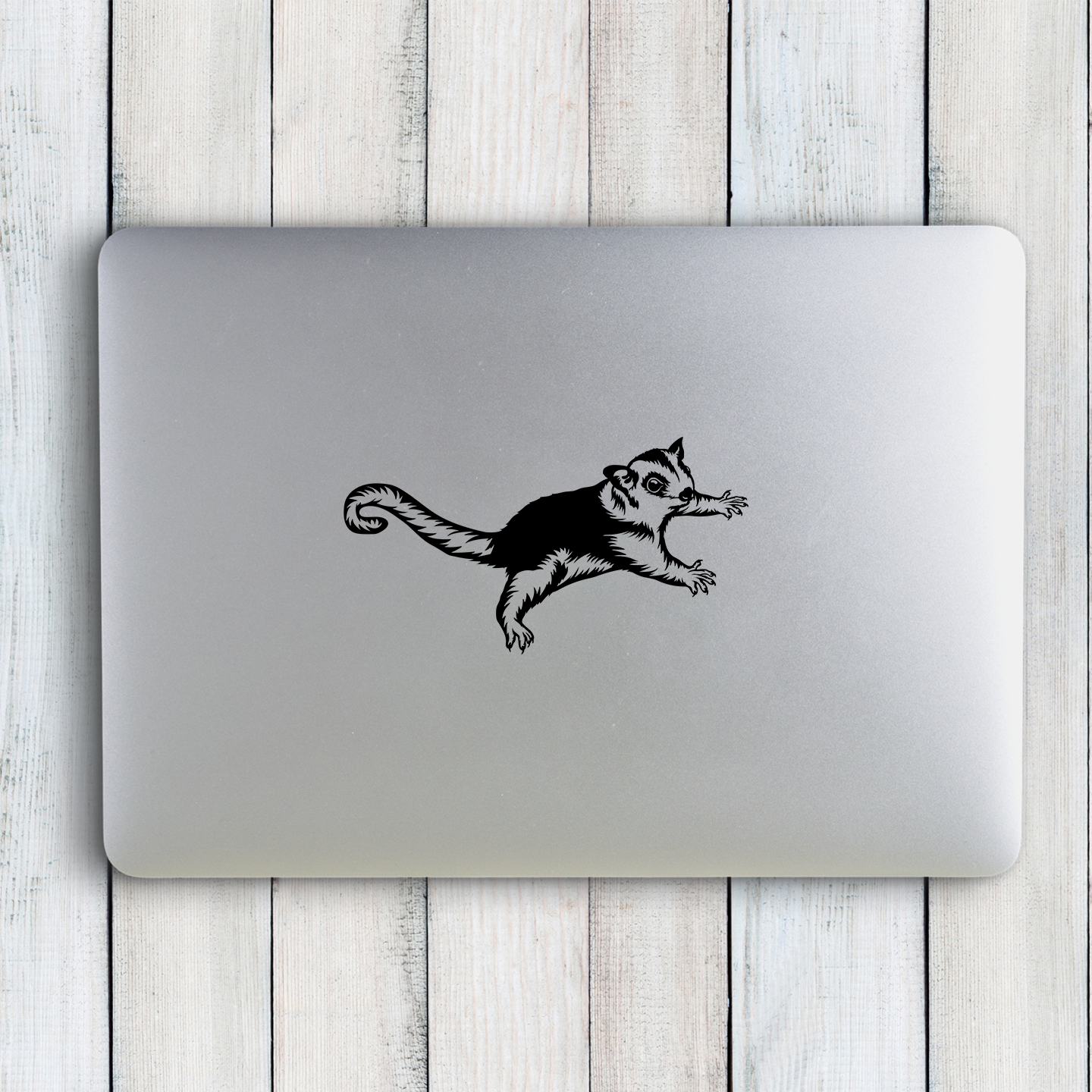 Sugar Glider Sticker