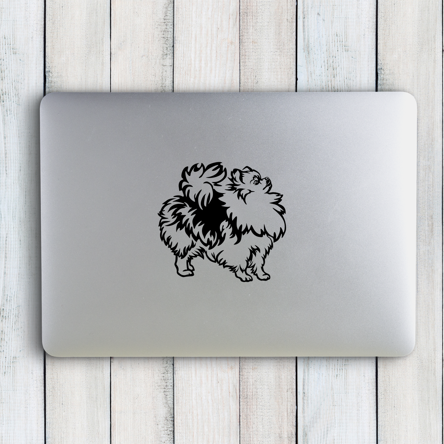 Pomeranian Sticker