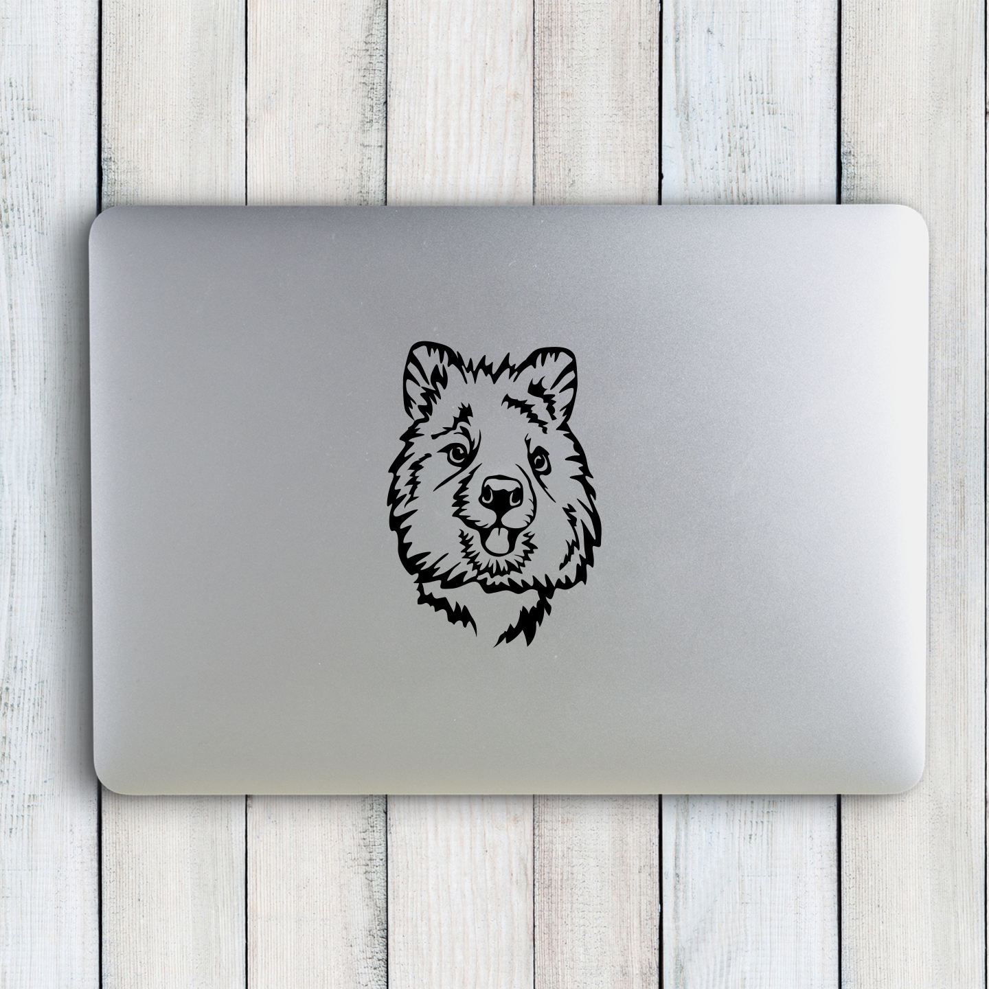 Quokka Sticker