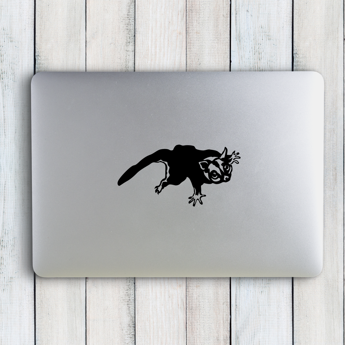 Sugar Glider Sticker