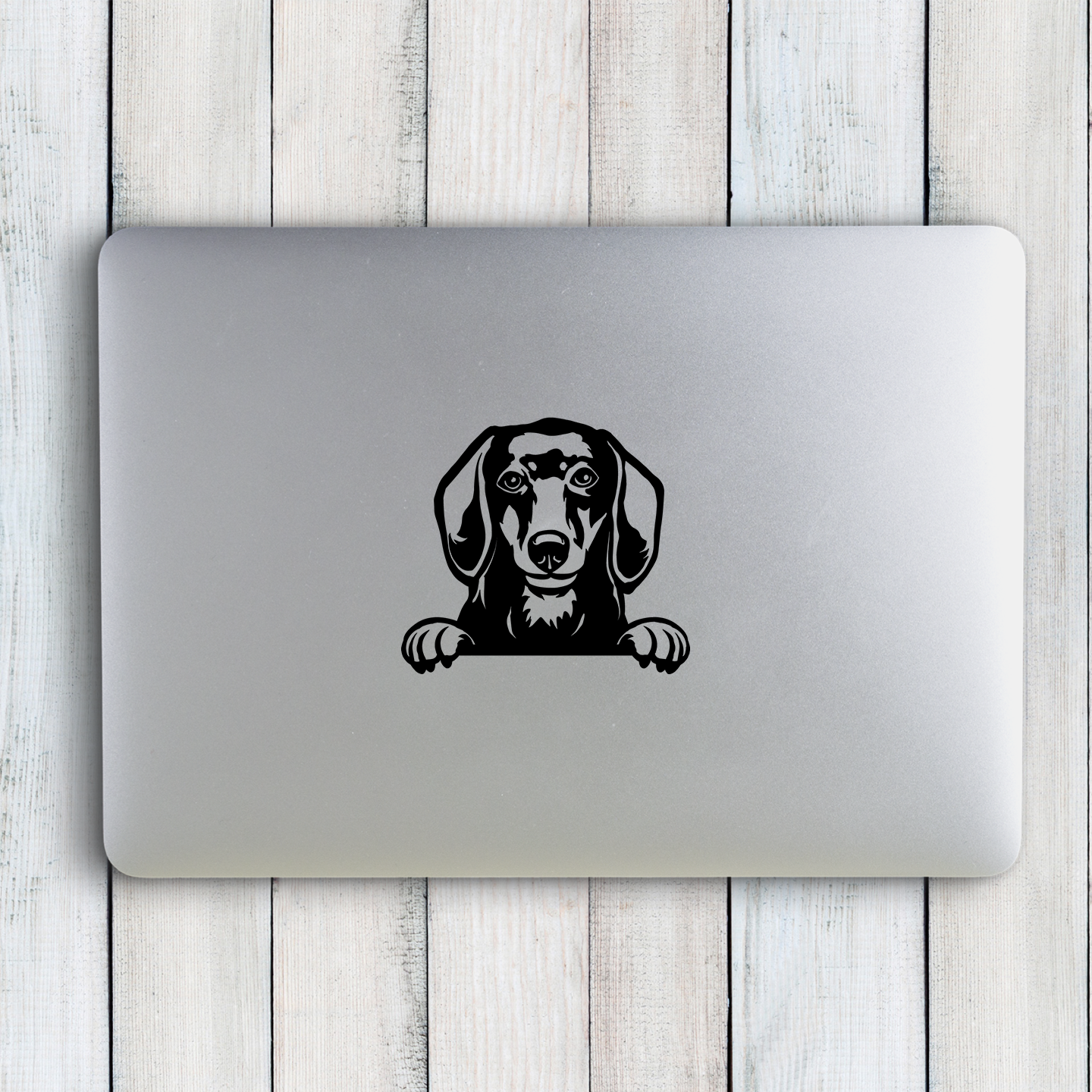 Dachshund Sticker