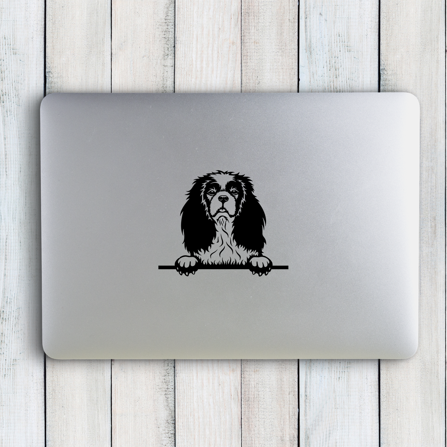 Cavalier King Charles Spaniel Sticker