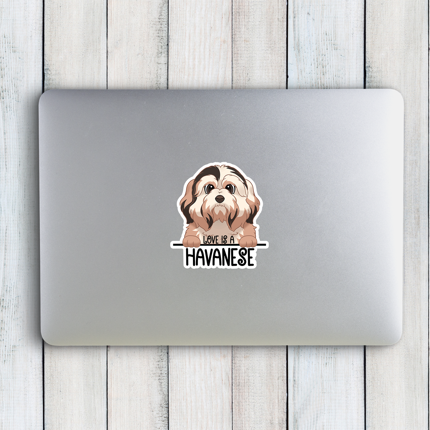 Love Is A Havanese Sticker