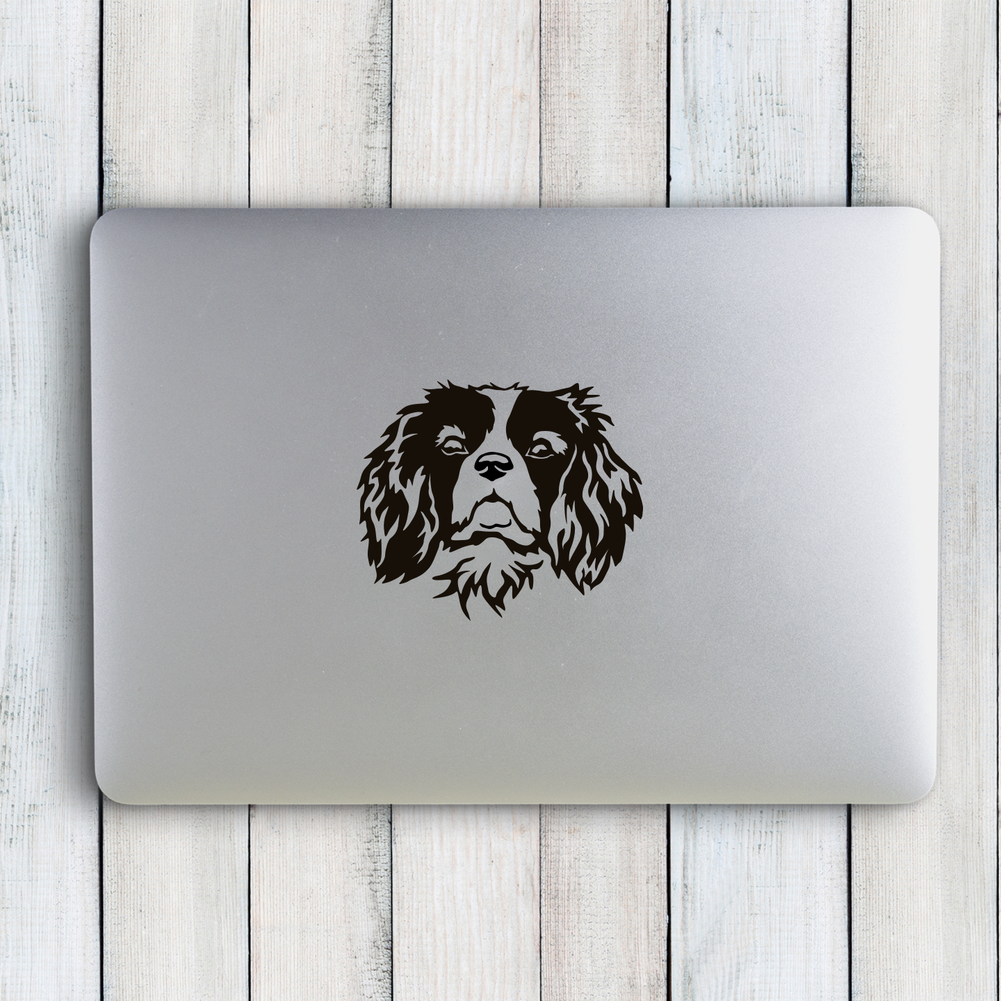 Cavalier King Charles Spaniel Sticker