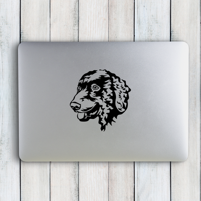 Curly Coated Retriever Sticker