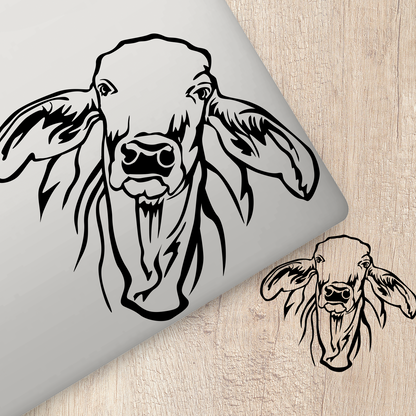 Brahman Cattle Sticker