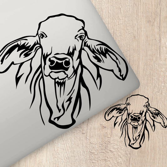Brahman Cattle Sticker