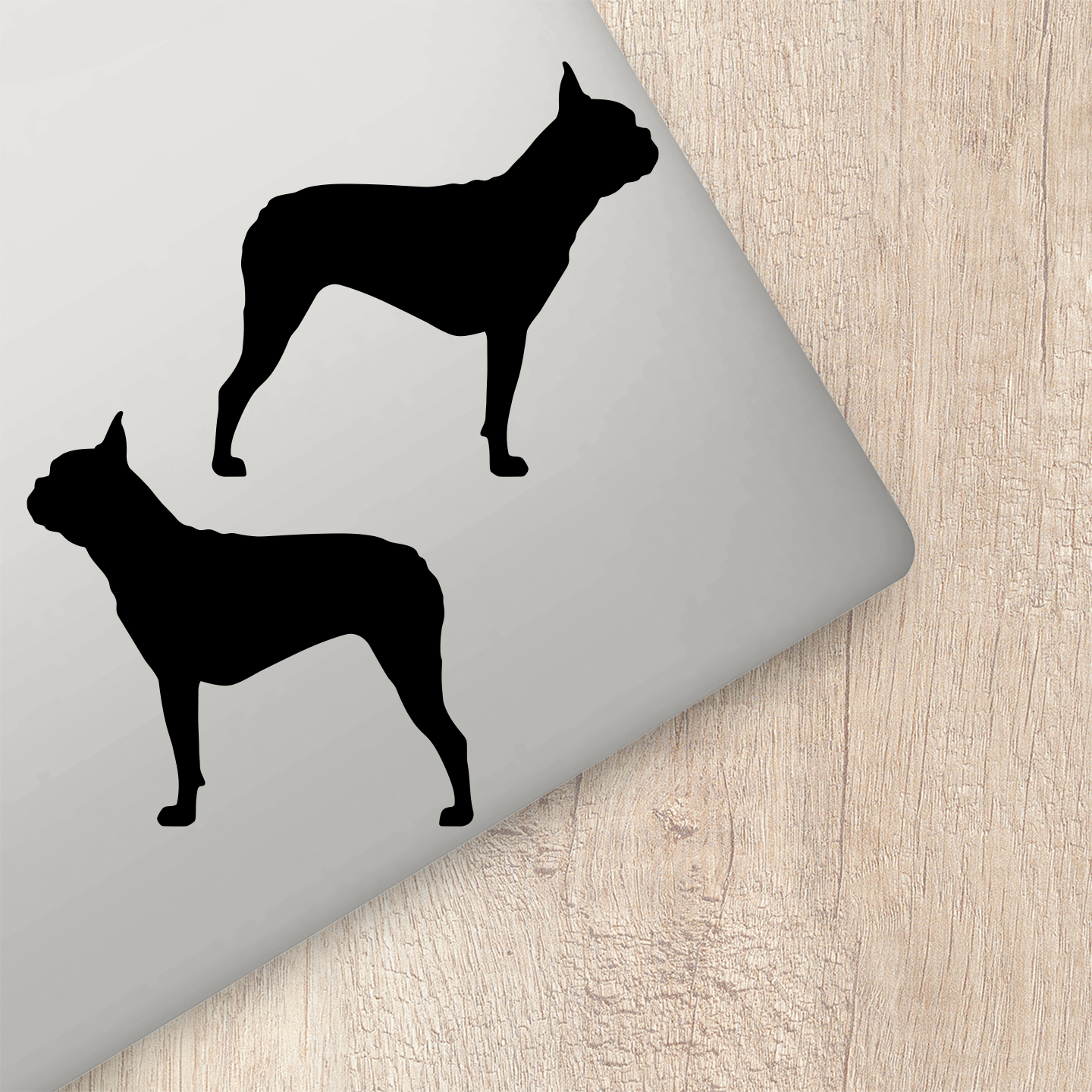 Boston Terrier Silhouette Standing Stickers