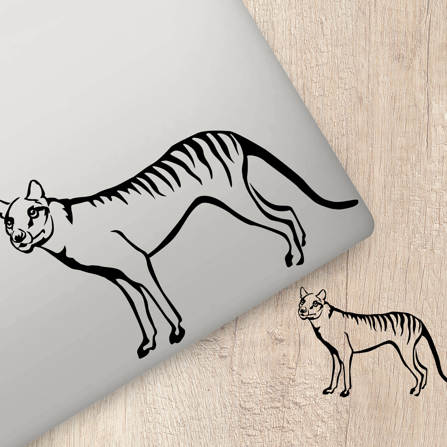 Tasmanian Tiger Sticker