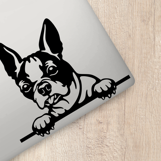 Boston Terrier Sticker