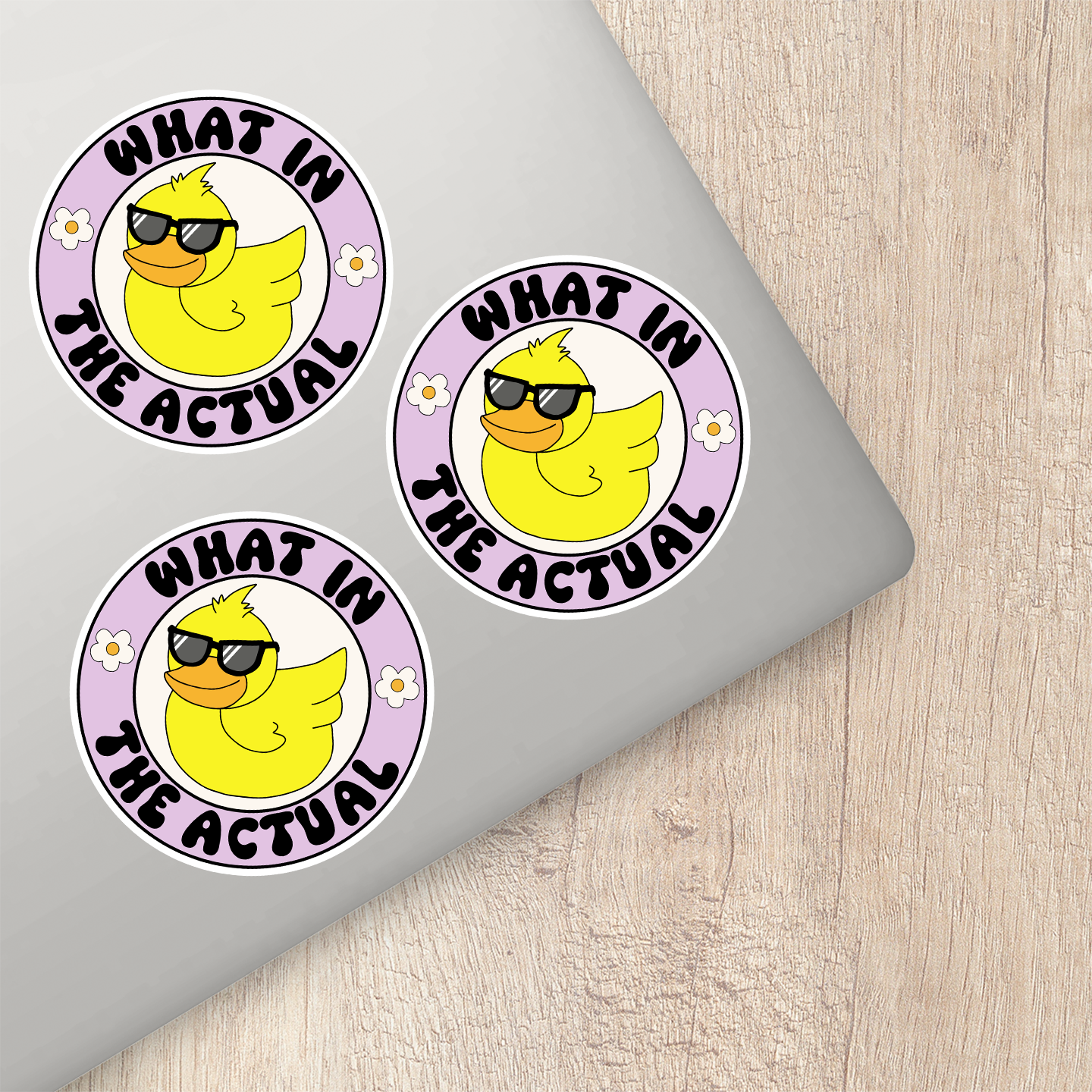 What In The Actual Sticker | Funny Sticker Gifts – Pet Stickers Australia
