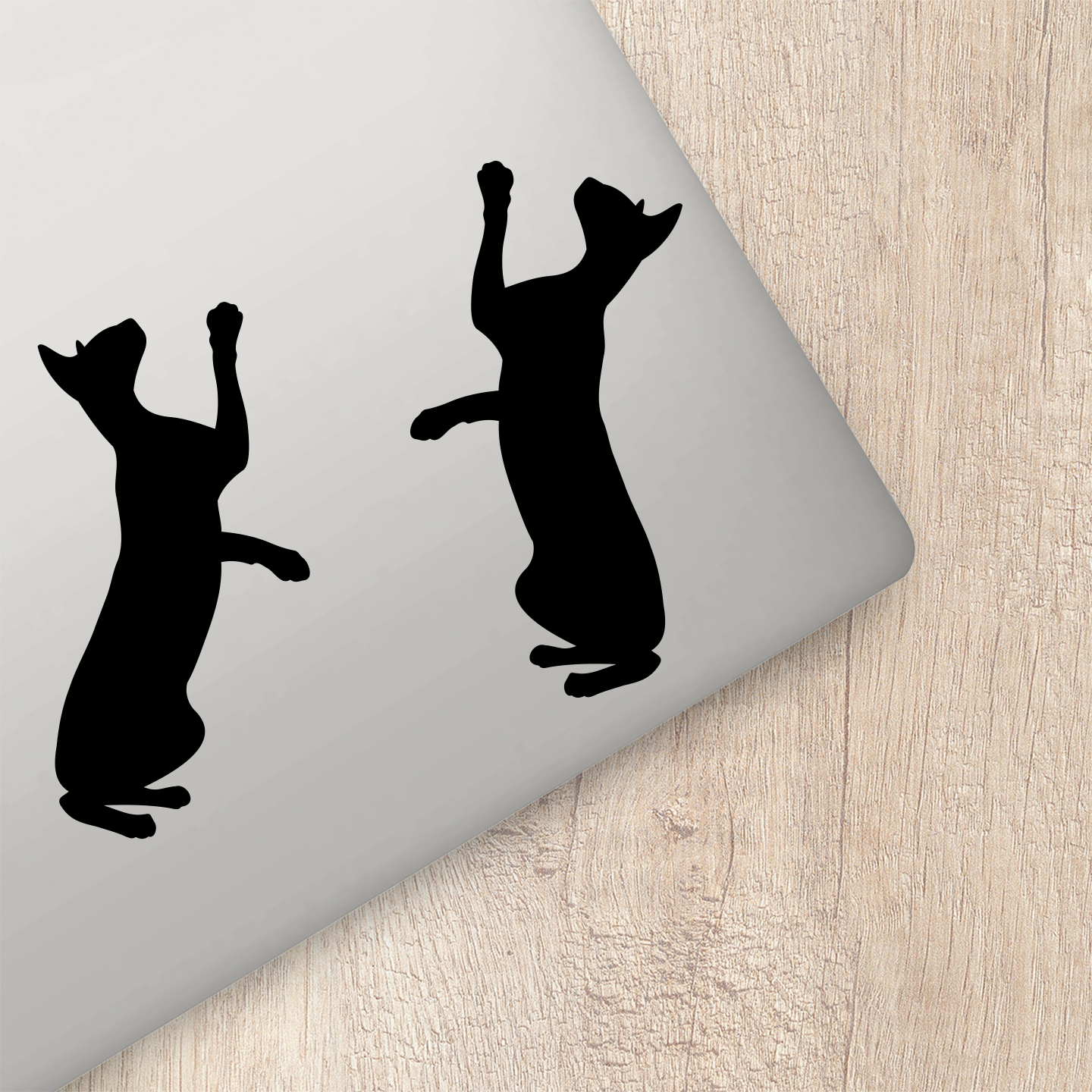 Peterbald Cat Silhouette Stickers