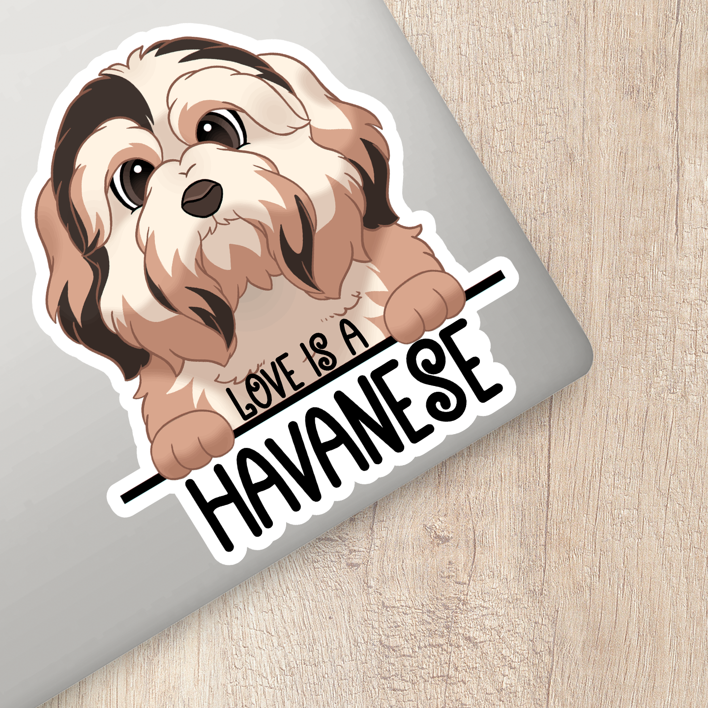 Love Is A Havanese Sticker