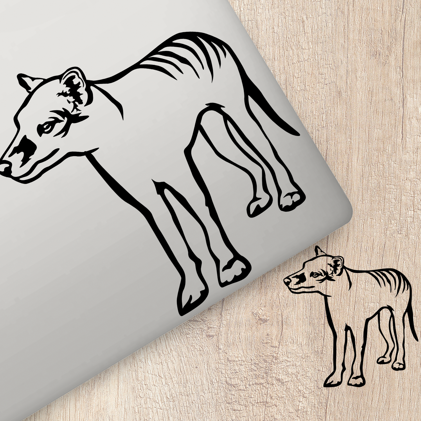 Tasmanian Tiger Sticker