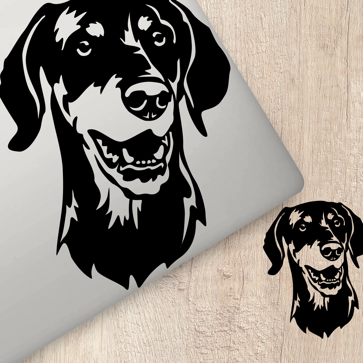 Dobermann Sticker